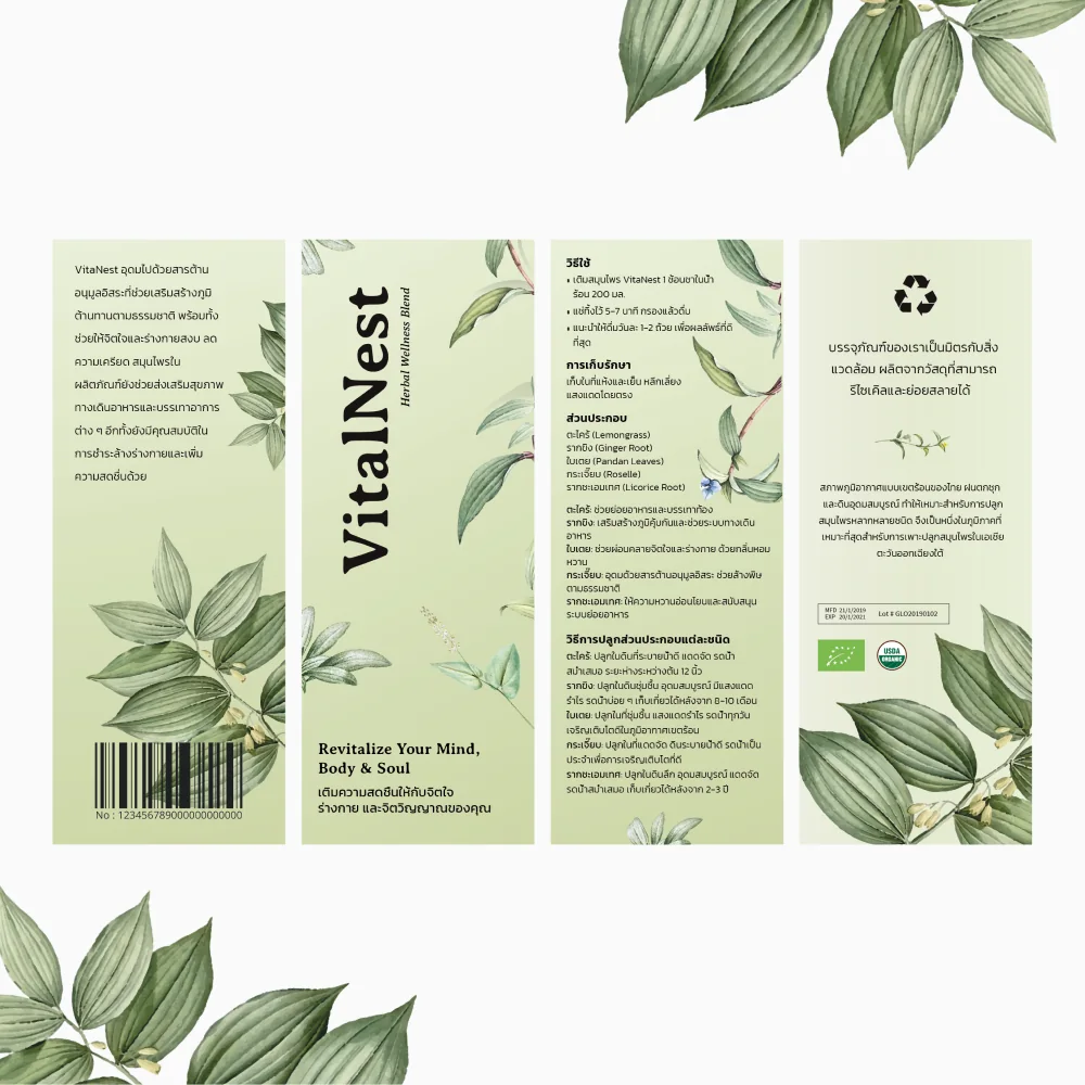 VitalNest branding project