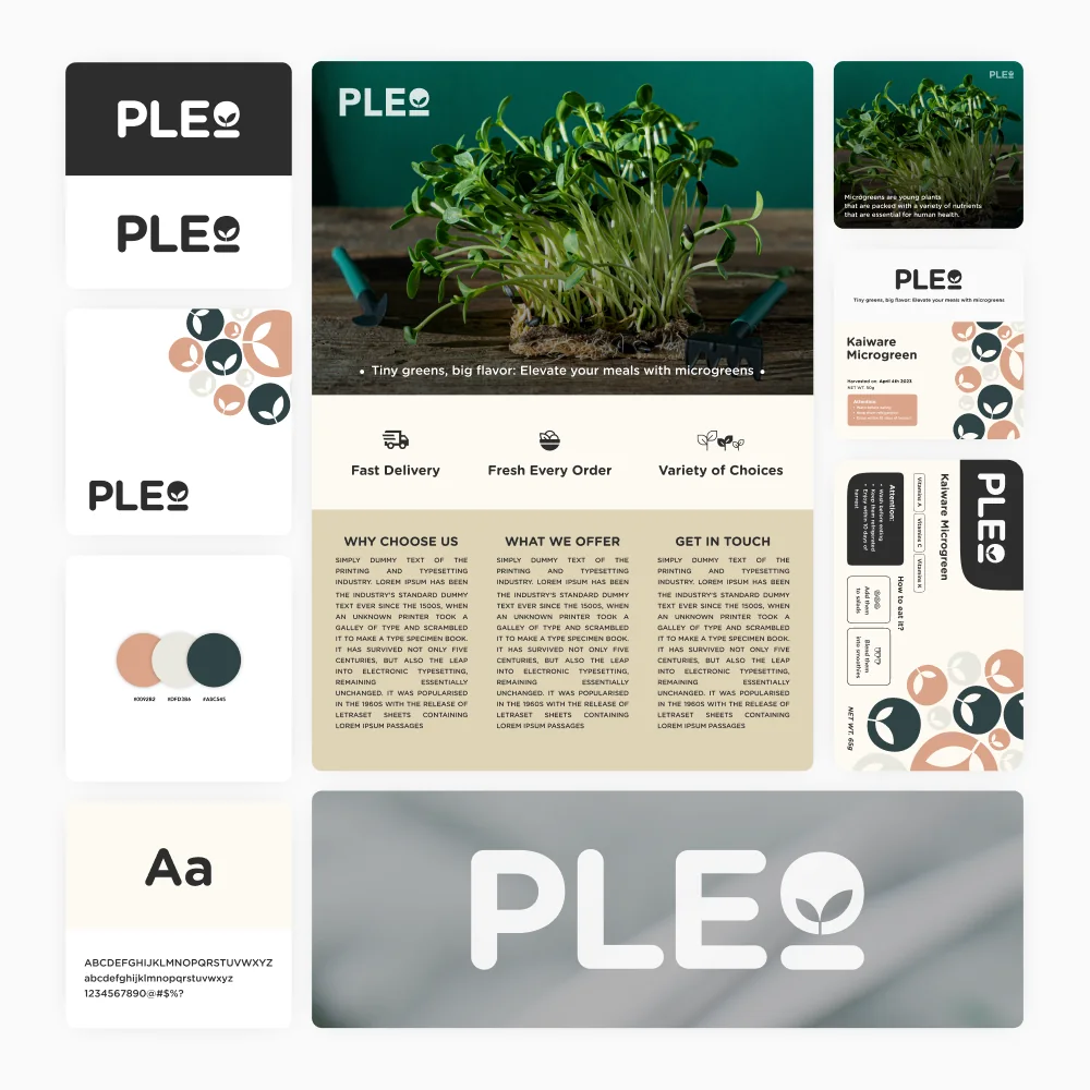 PLE project