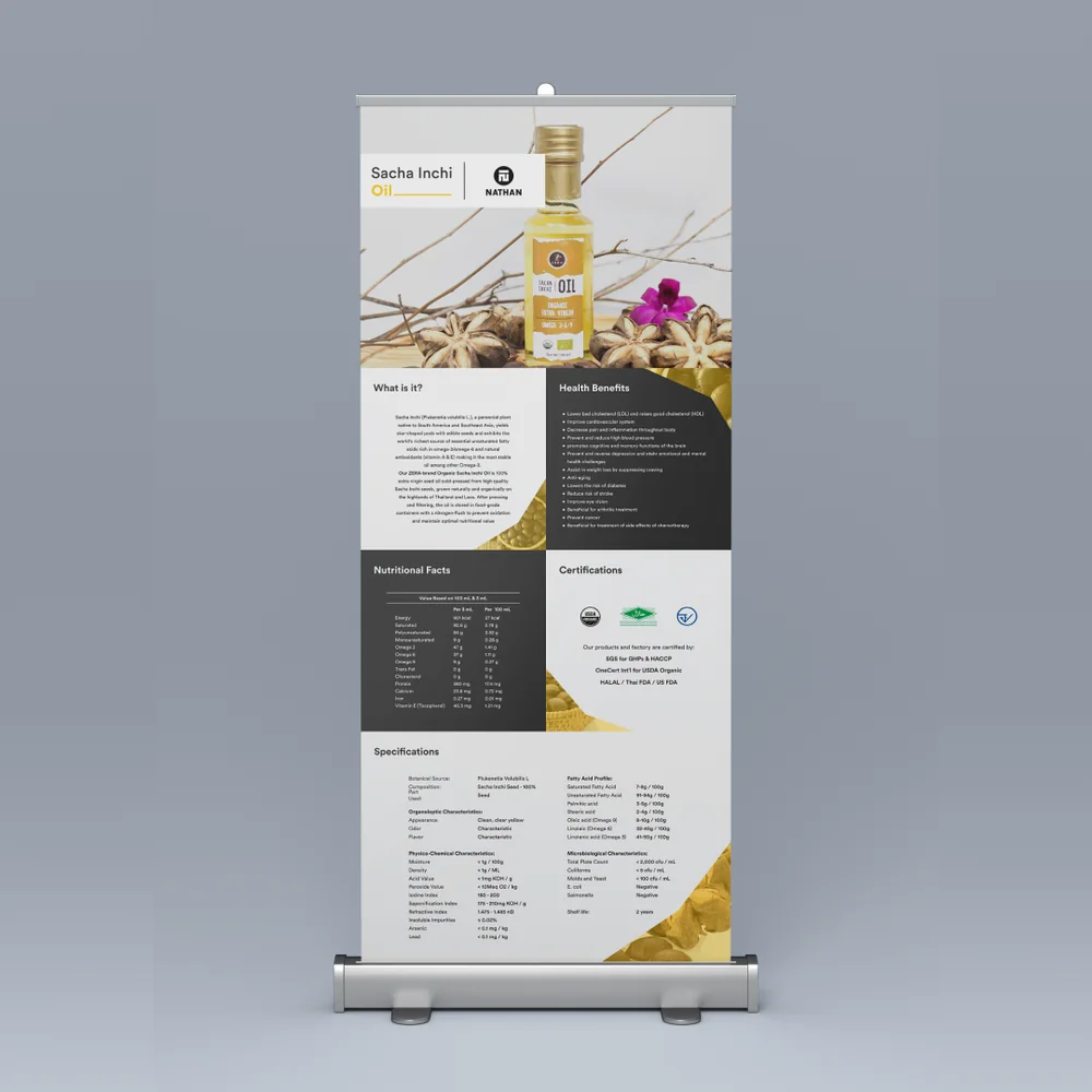 Zera Brochure project
